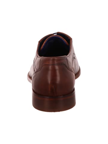 Bugatti Eleganter Schnürschuh in braun