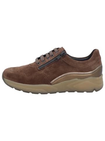 Solidus Damen- Schnürschuhe Kea - Weite K in Braun