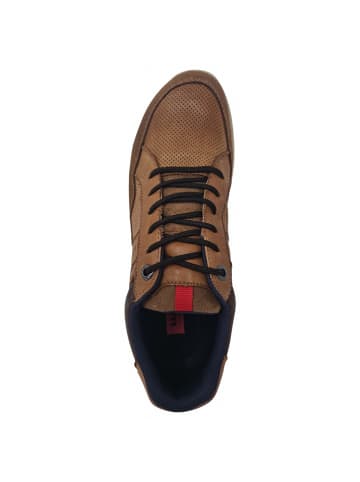 LLOYD sportlicher Schnürer ENNO in Beige