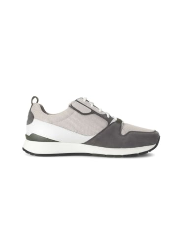 Pius Gabor Sneaker low in grau