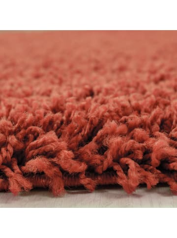 KADIMA DESIGN Teppich Hochflor Shaggy Waschbar Einfarbig RHEIN Strapazierfähig in Terrakotta