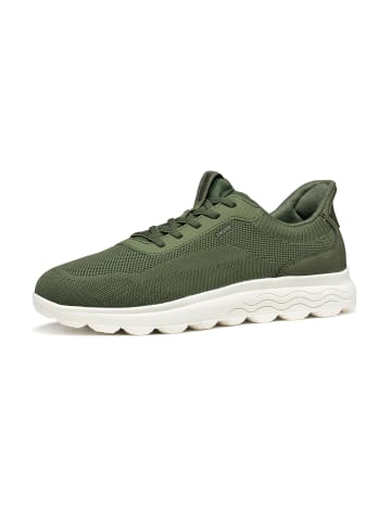 Geox Sneakers Low U Spherica Plus  in grün