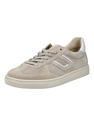 Gabor Sneaker in Beige