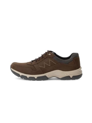 Pius Gabor Sneaker low in braun