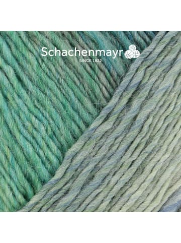 Schachenmayr since 1822 Handstrickgarne Impressione, 100g in Landscape color