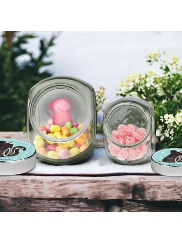 Mr. & Mrs. Panda Glasdose Stinktier Sitzen ohne Spruch in Türkis Pastell