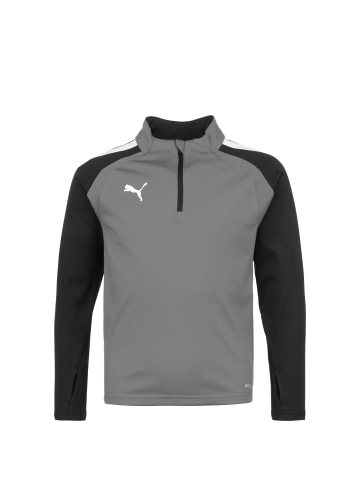 Puma Sweatshirt TeamLIGA 1/4 Zip in grau / schwarz