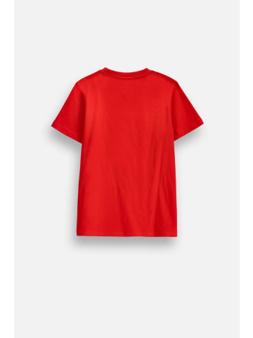 Coccodrillo Baumwoll-T-Shirt mit kurzen Ärmeln in rot
