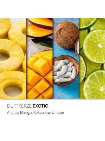Haribo Haribo™ Duftkerze "Exotic"