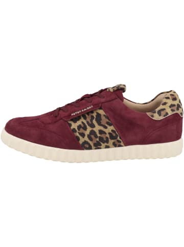PETER KAISER Sneaker low 9-73340-45 in bordeaux
