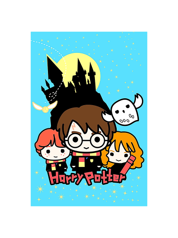 Harry Potter Fleecedecke Harry Potter - (L) 150 cm x (B) 100 cm in Bunt