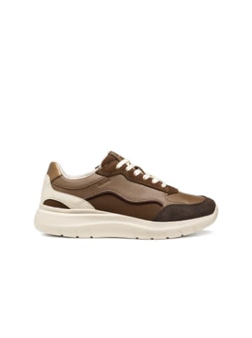 Geox Sneakers D in Mehrfarbig