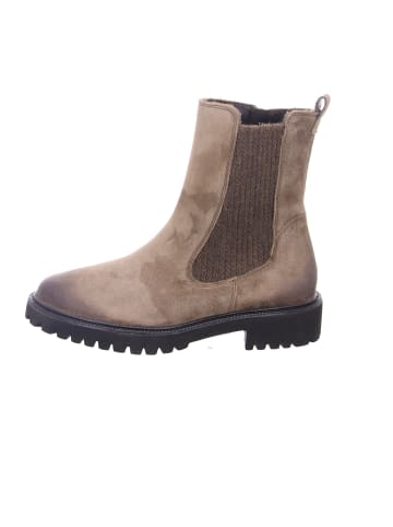 Paul Green Stiefeletten für Damen in beige