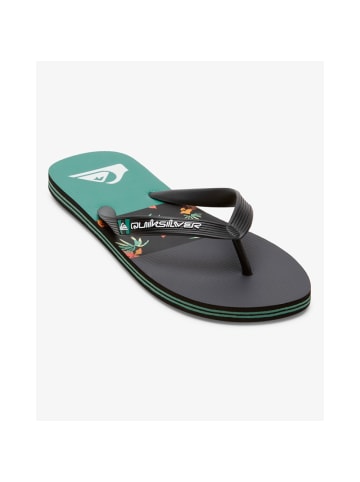 Quicksilver Flip-Flops Molokai in Mehrfarbig