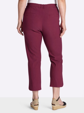 sheego 7/8-Hose in bordeaux