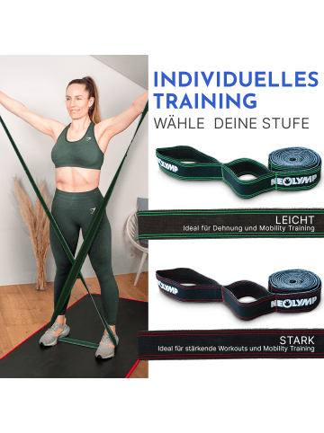 Neolymp Fitnessband "SBAND210" Stufe 1 in Grün, 5-15 kg