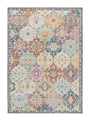 Atticgo Outdoor-Teppich LUNA in mehrfarbig