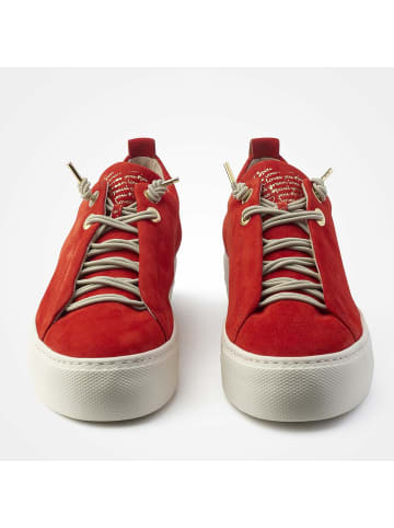 Paul Green Freizeit Schnürer für Damen in rot