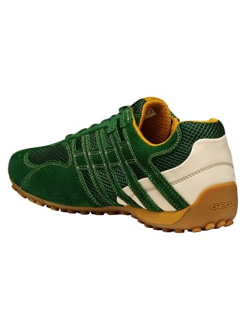 Geox Snake Original A in Grün