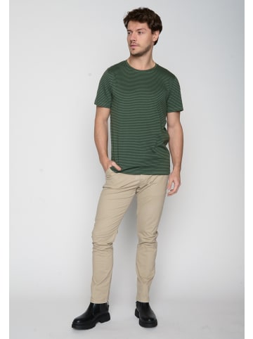 GreenBomb Spice Basic in Forest Stripes
