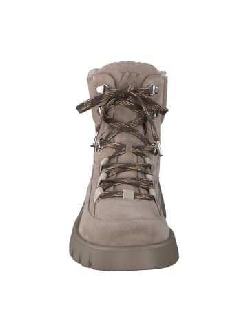 Paul Green Schnürboots in Beige
