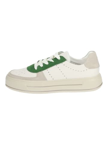 ara Sneaker Beige/Weiß