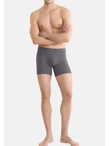 Sloggi Long Short / Pant SLG Base in Shiver