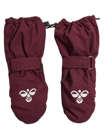 Hummel Handschuhe Hml Lebensstil Jungen in WINDSOR WINE