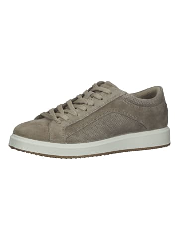 Fretz Men Sneaker in Sand