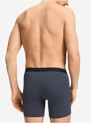 Hanro Langer Boxer Micro Touch in stormy gray