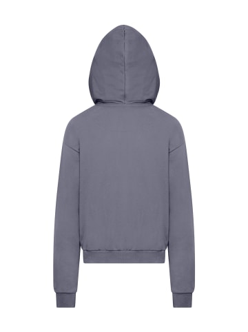 Mister Tee Sweat & Fleece - Hoodies in vintageblue