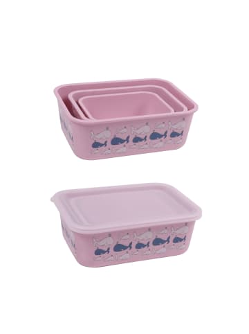 AWAVE Aufbewahrungsdosen-Set aus rPET, 3-tlg., rosé in Rosé
