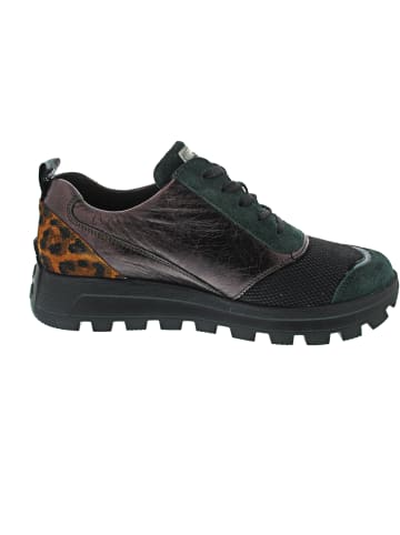 WALDLÄUFER H-Ajala sportlicher Schnürer Mehrfarbig