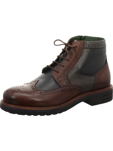 Galizio Torresi Schnürstiefeletten in braun