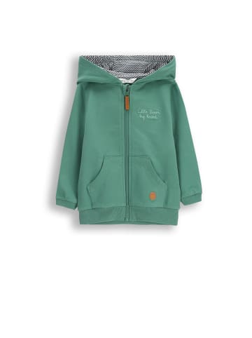 Coccodrillo Reißverschlussjacke in grün