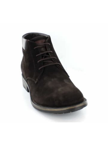 Galizio Torresi Stiefeletten/Boot in braun