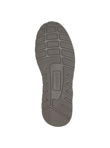 Caprice sportlicher Schnürer  in Beige