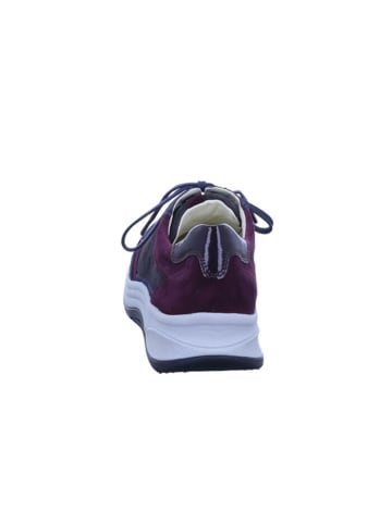 Ganter High Flyer High Flyer in darkblue/multi