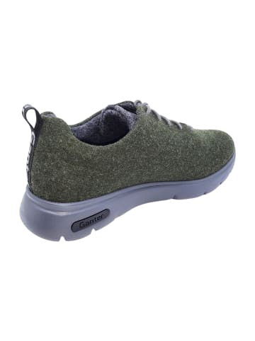 Ganter Komfort Schnürschuhe in Oliv