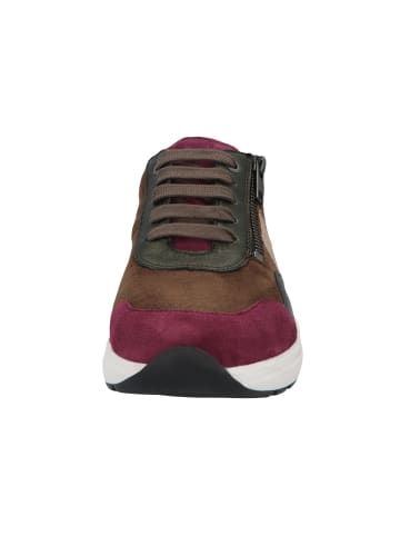 Solidus Sneaker Low in rot