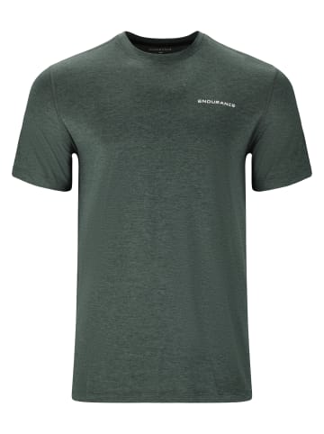 Endurance T-Shirt Abdon in 3242 Dusty Forest