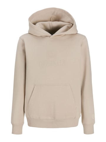 JACK & JONES Junior Kapuzenpullover in Feather Gray