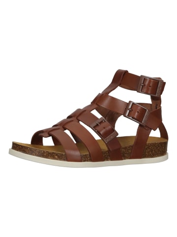 Kickers Sandalen in Braun