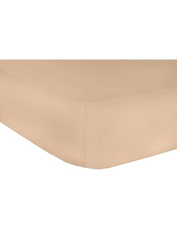 GMD Living Spannbetttuch JERSEY CLASSIC in Apricot