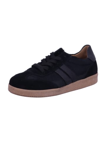 Gabor Sneaker Low in schwarz