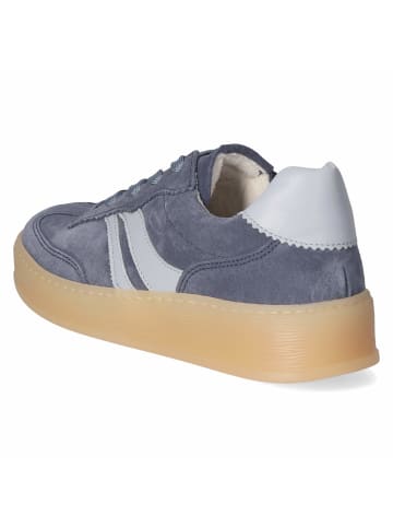 Gabor Low Sneaker in blau
