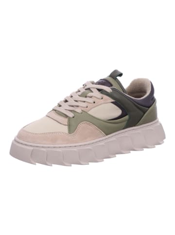 Apple of Eden Schnürschuh LIMA in AMBAR/KHAKI