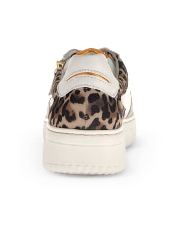 Gabor Comfort Sportliche Schnürschuhe in Weiß