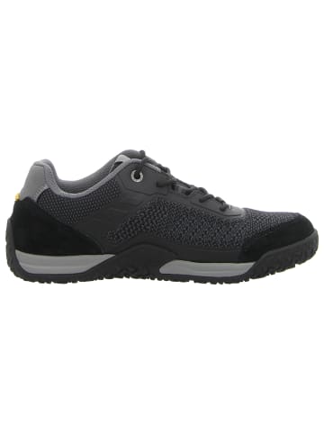 Camel Active Sneaker Low in schwarz