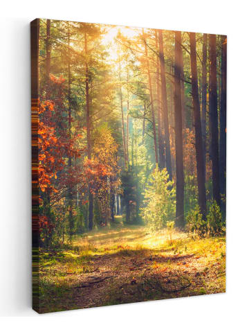 OnlyWow Leinwand Bilder Waldpfad